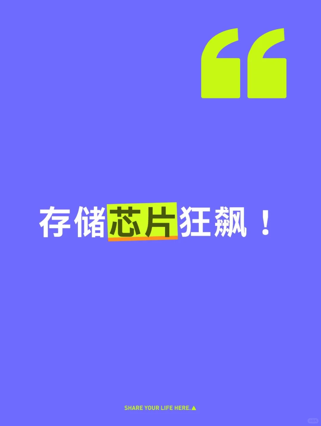 存储芯片狂飙！