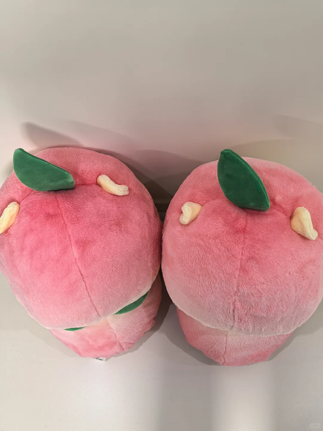 是我们噗噗在面壁思过鸭 蜜桃噗噗无敌可爱