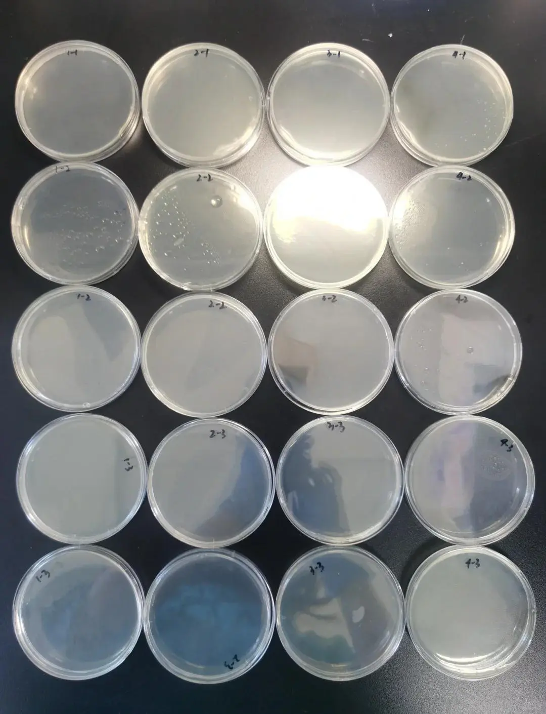 什么是抗菌面料？