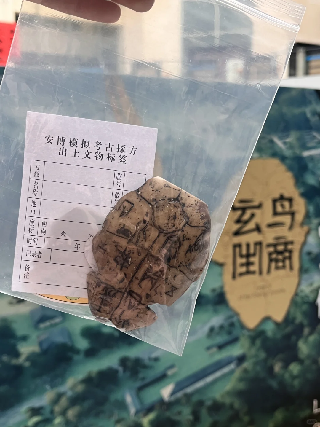 安阳博物馆！沉浸式考古⛏️真的巨好玩！！