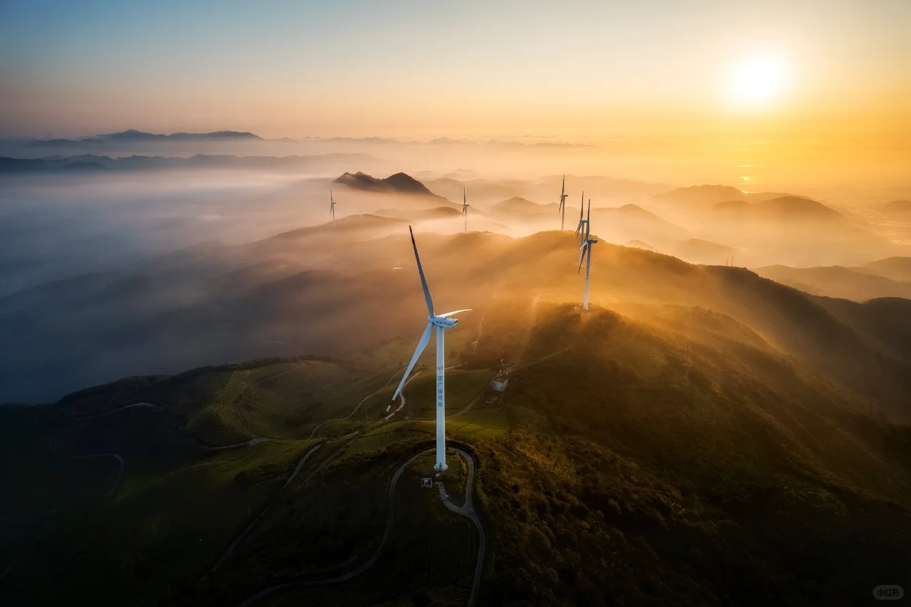 「能源之光」丨官方影展