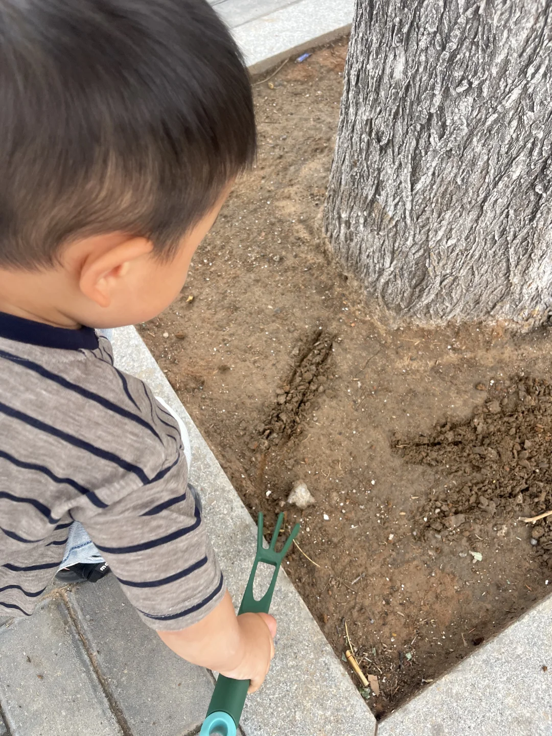 别再给宝贝买挖沙铲了，这个太好用