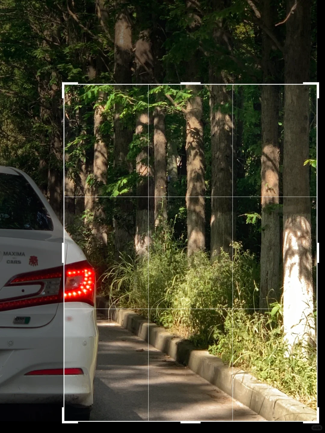 二次构图➕滤镜拯救了相册里一半的废片