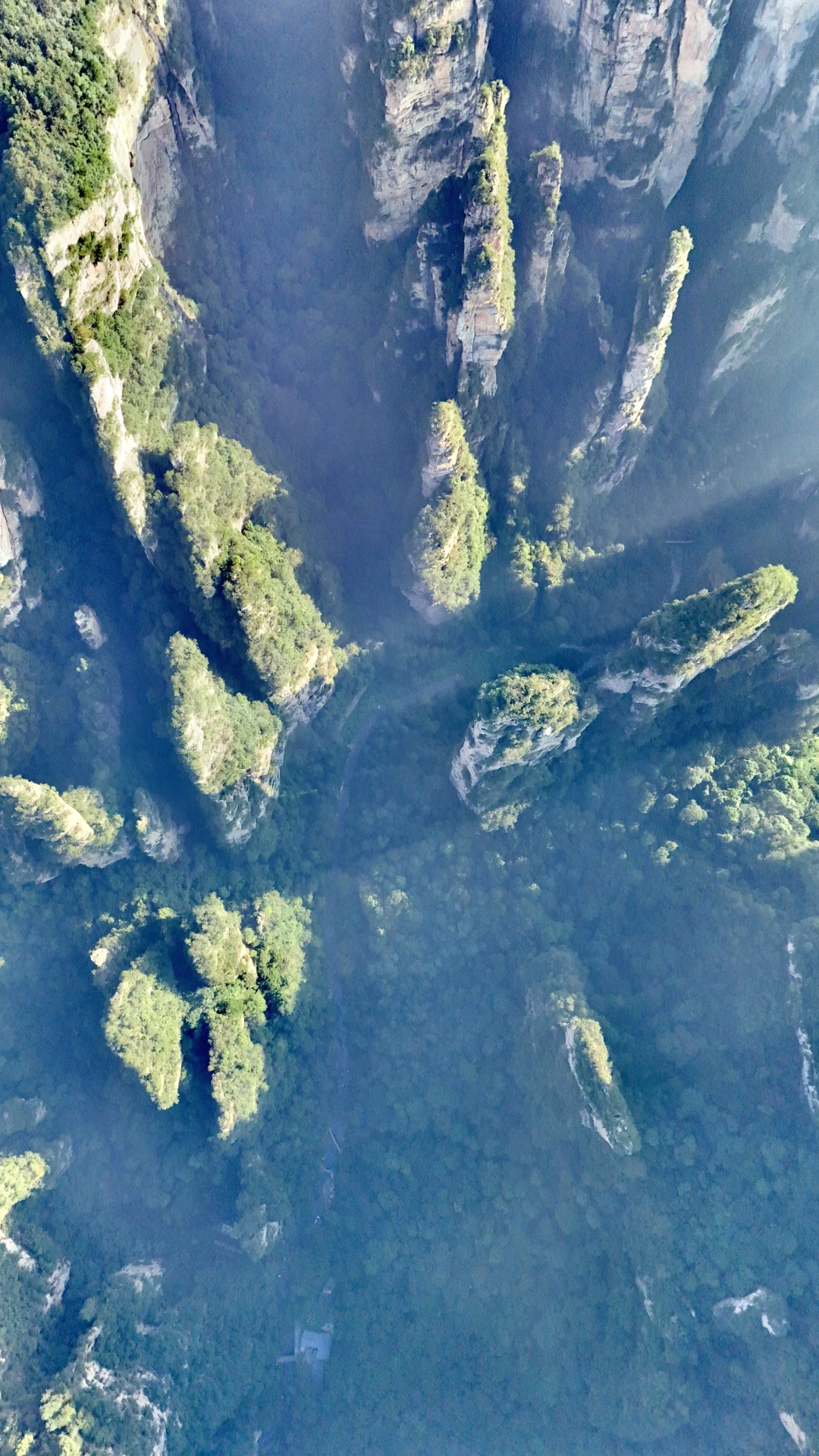 张家界国家森林公园一日特种兵攻略