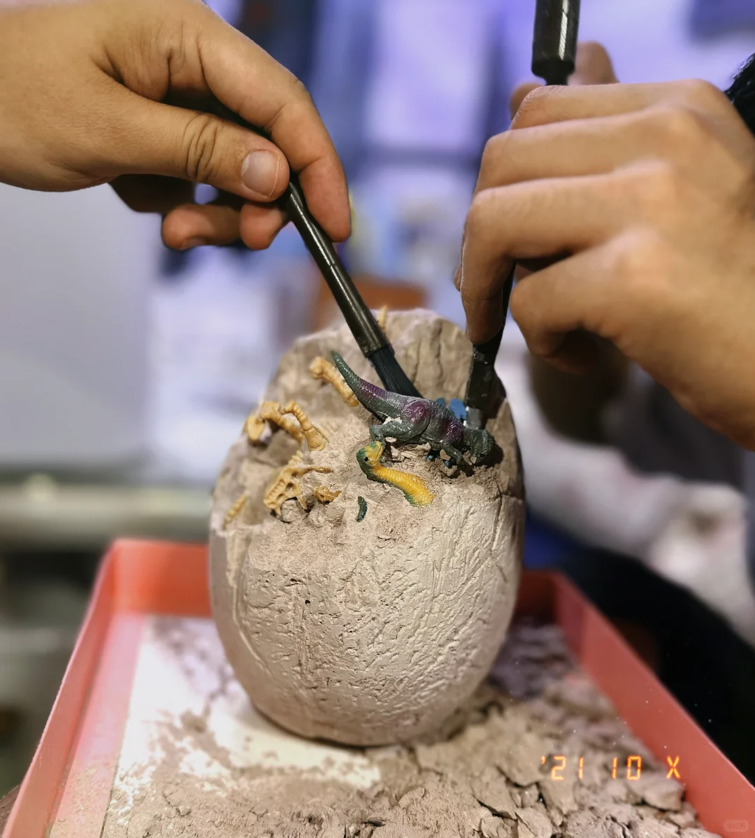 考古 恐龙蛋?化石