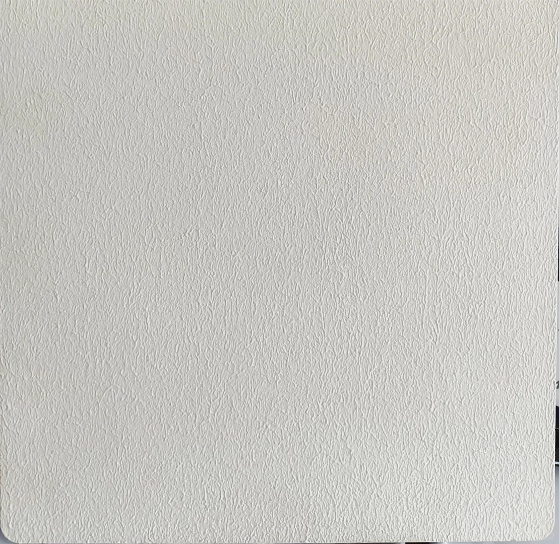 多乐士网红款乳胶漆-劲护瓷洁