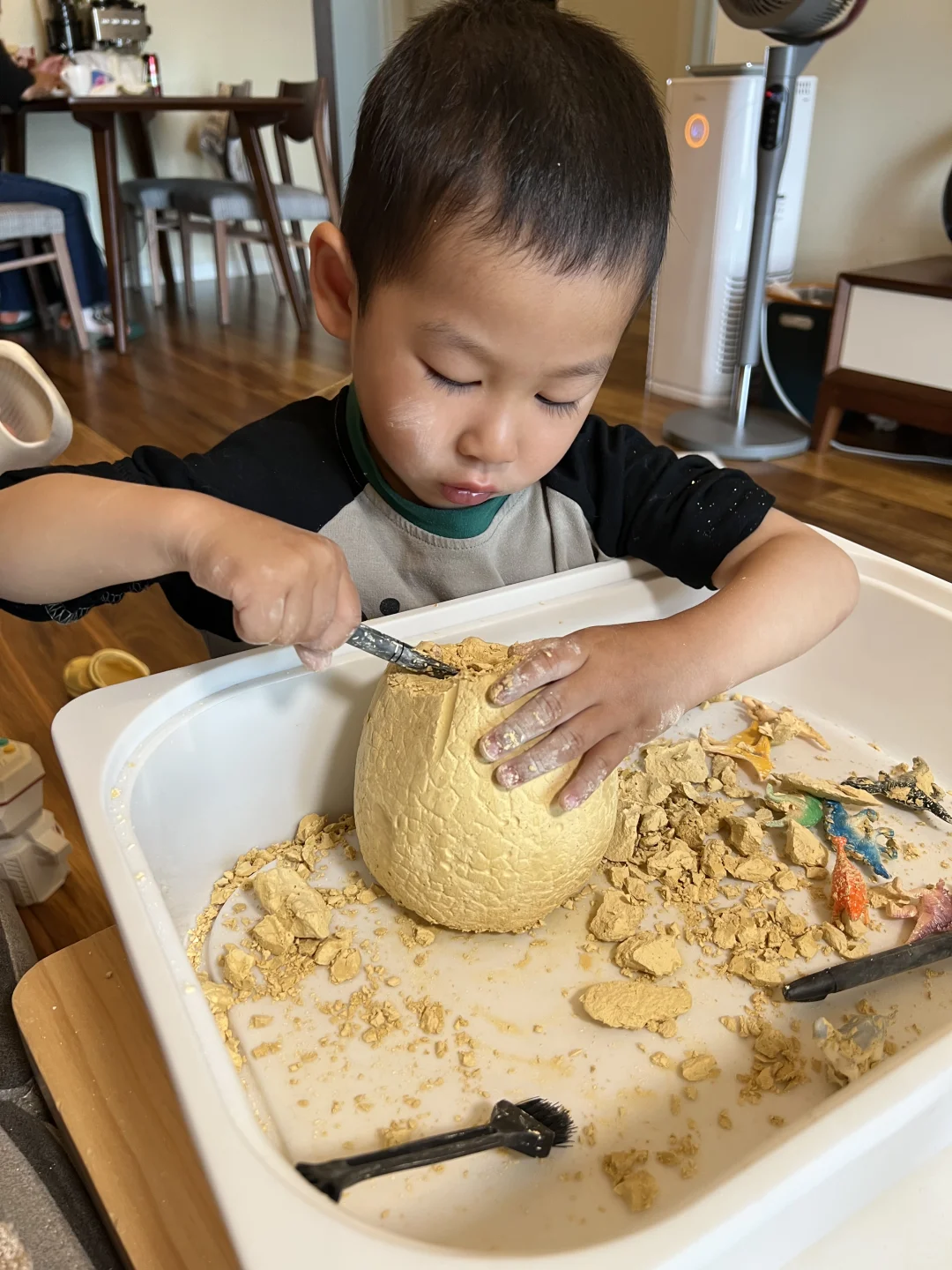 好绝的考古恐龙蛋?硬控小孩哥一小时+❗️