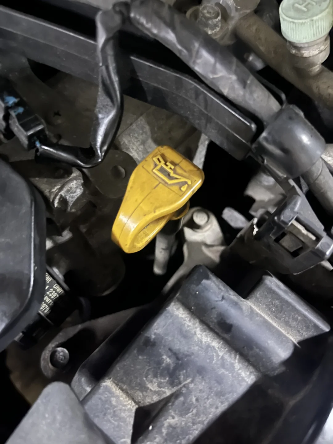 加拿大留子自己换机油