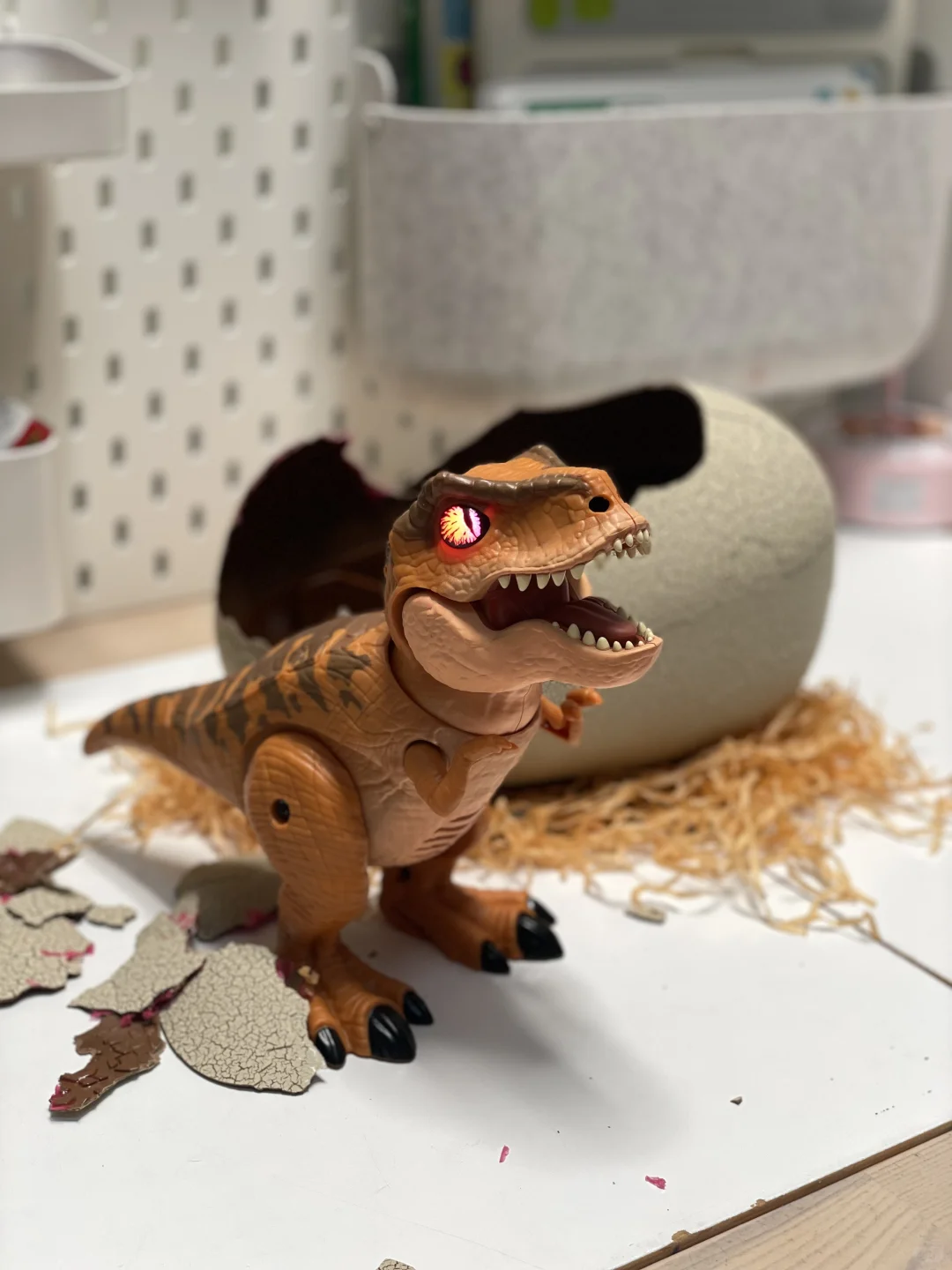 今年五岁生日 孵化了一只侏罗纪霸王龙?