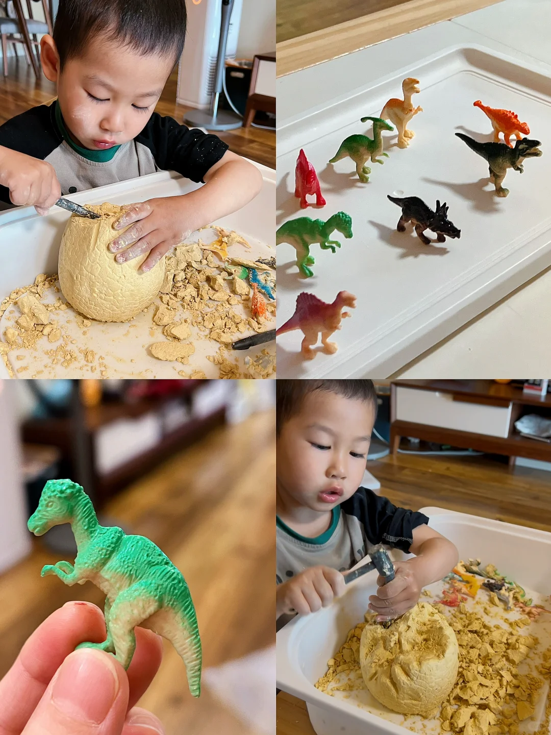 好绝的考古恐龙蛋?硬控小孩哥一小时+❗️