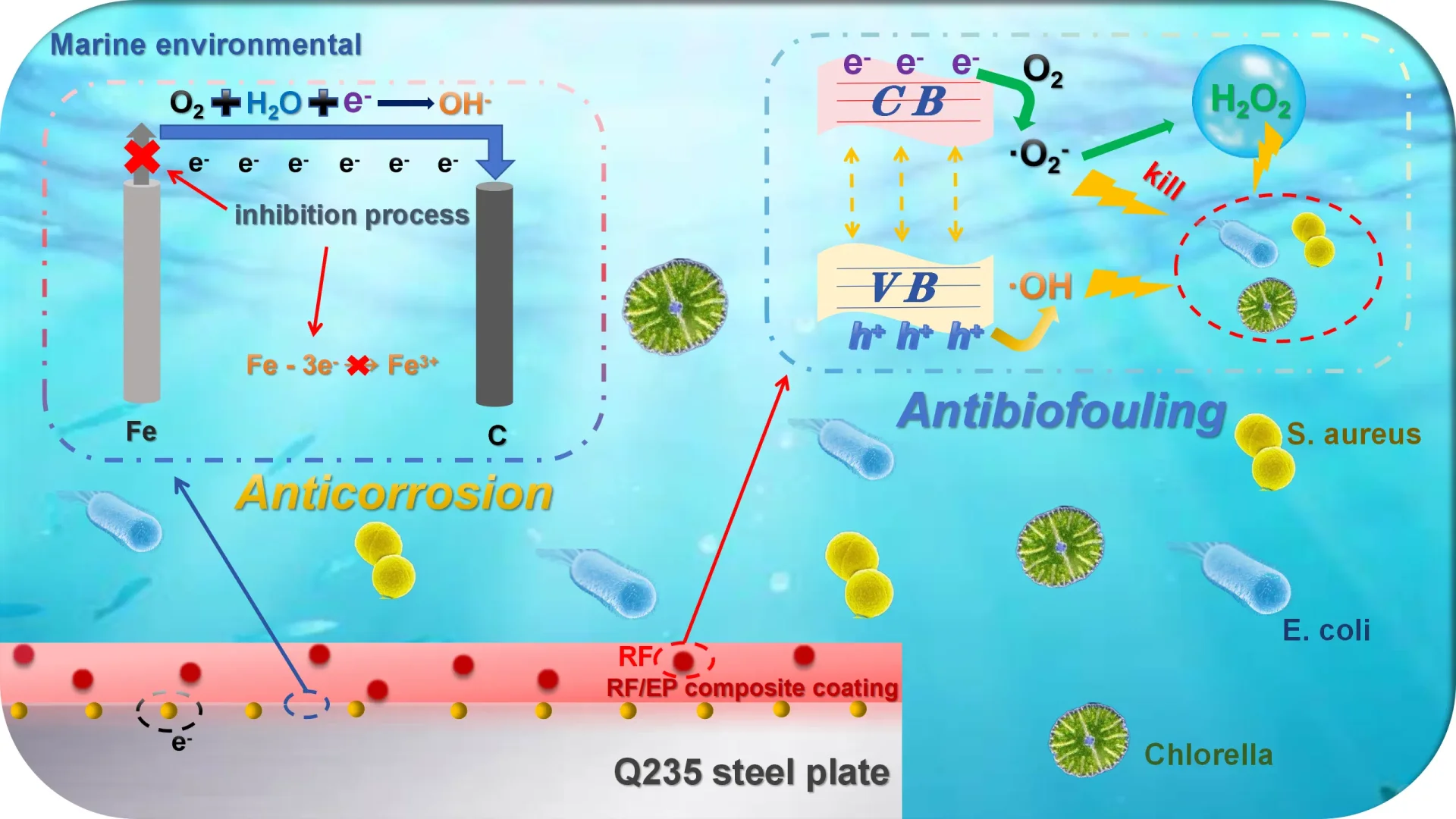 海洋设备救星！复合涂层超厉害✨