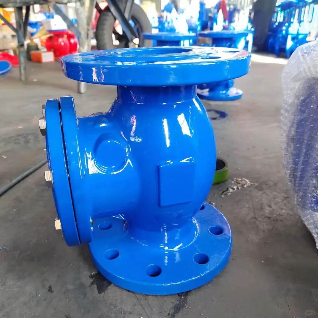 DN 100旋启式止回阀