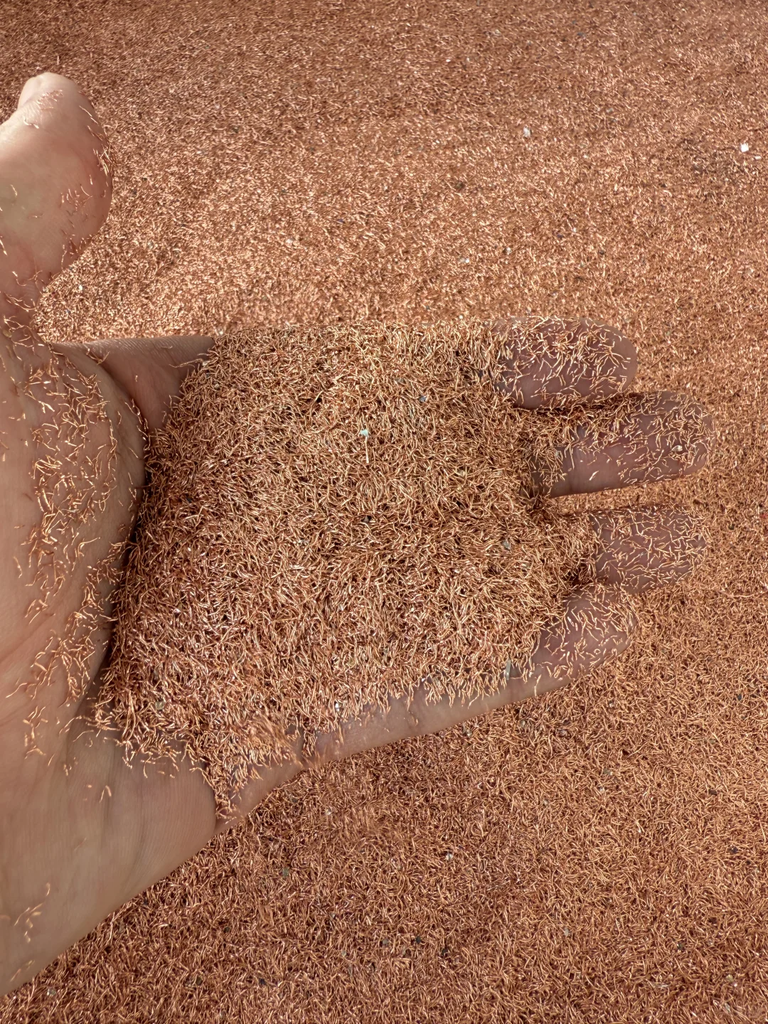 近期的金属市场，风浪越大，铜越贵