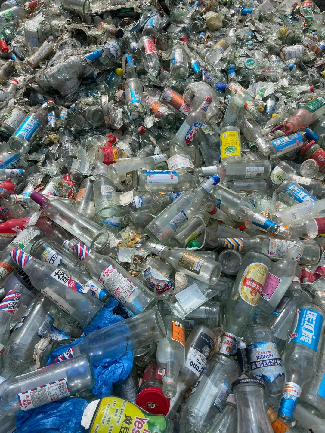 大厂辞职,跟着老爸回收废旧玻璃,劳累又充实