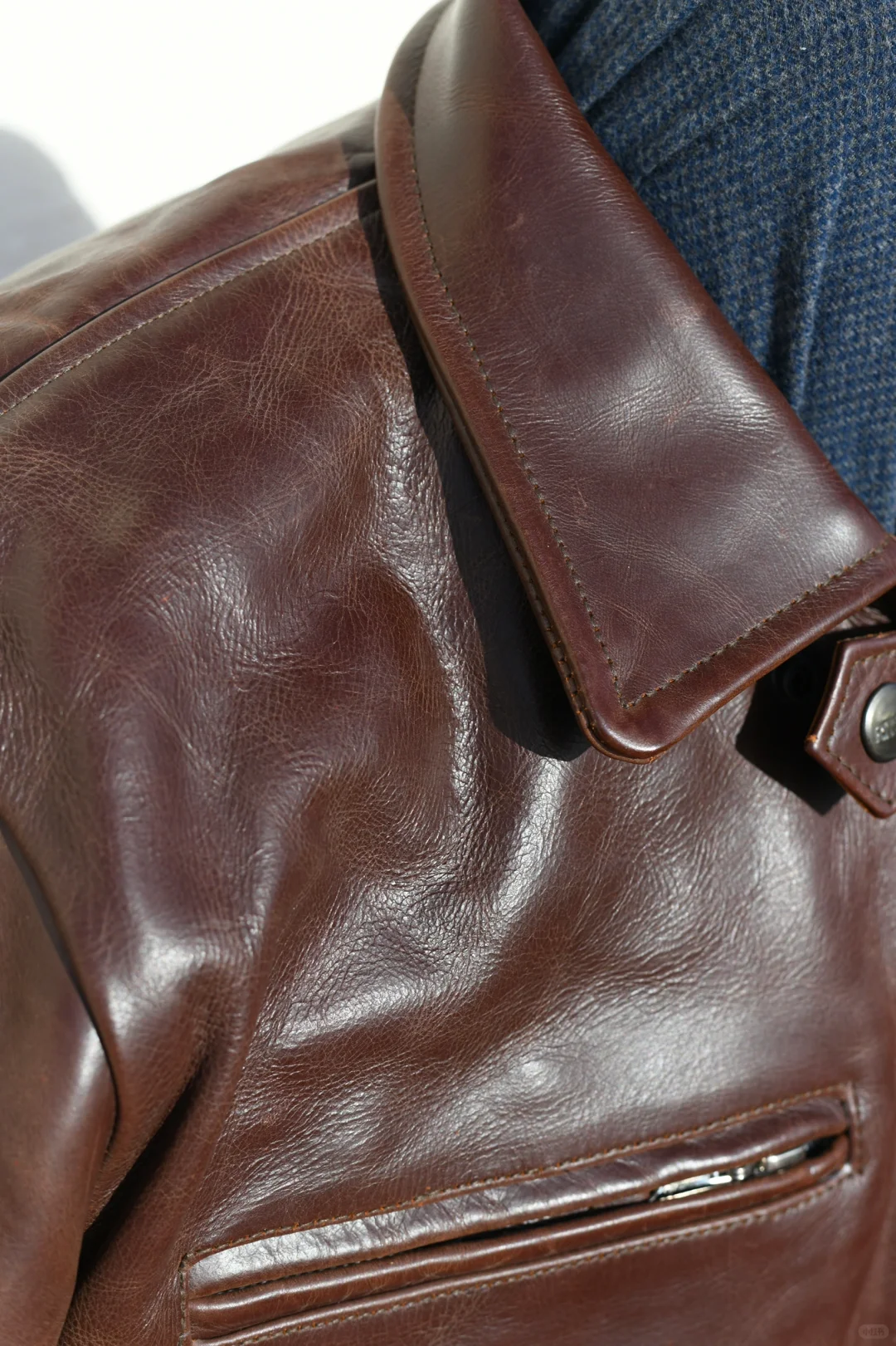 阳光下的 BF109红棕色马皮