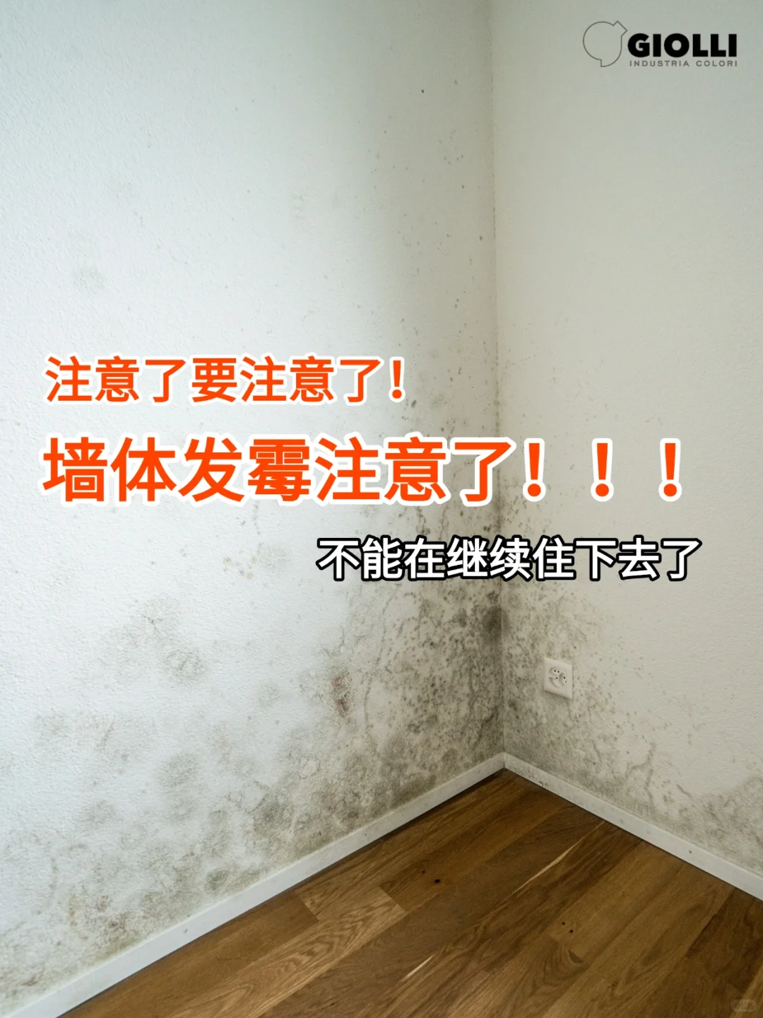 告别墙面发霉烦恼 | 乔黎萨乐医用级涂料来