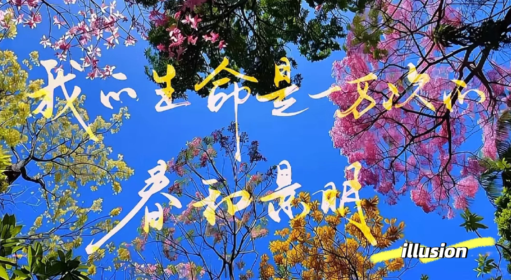 我生命是一万次的春和景明