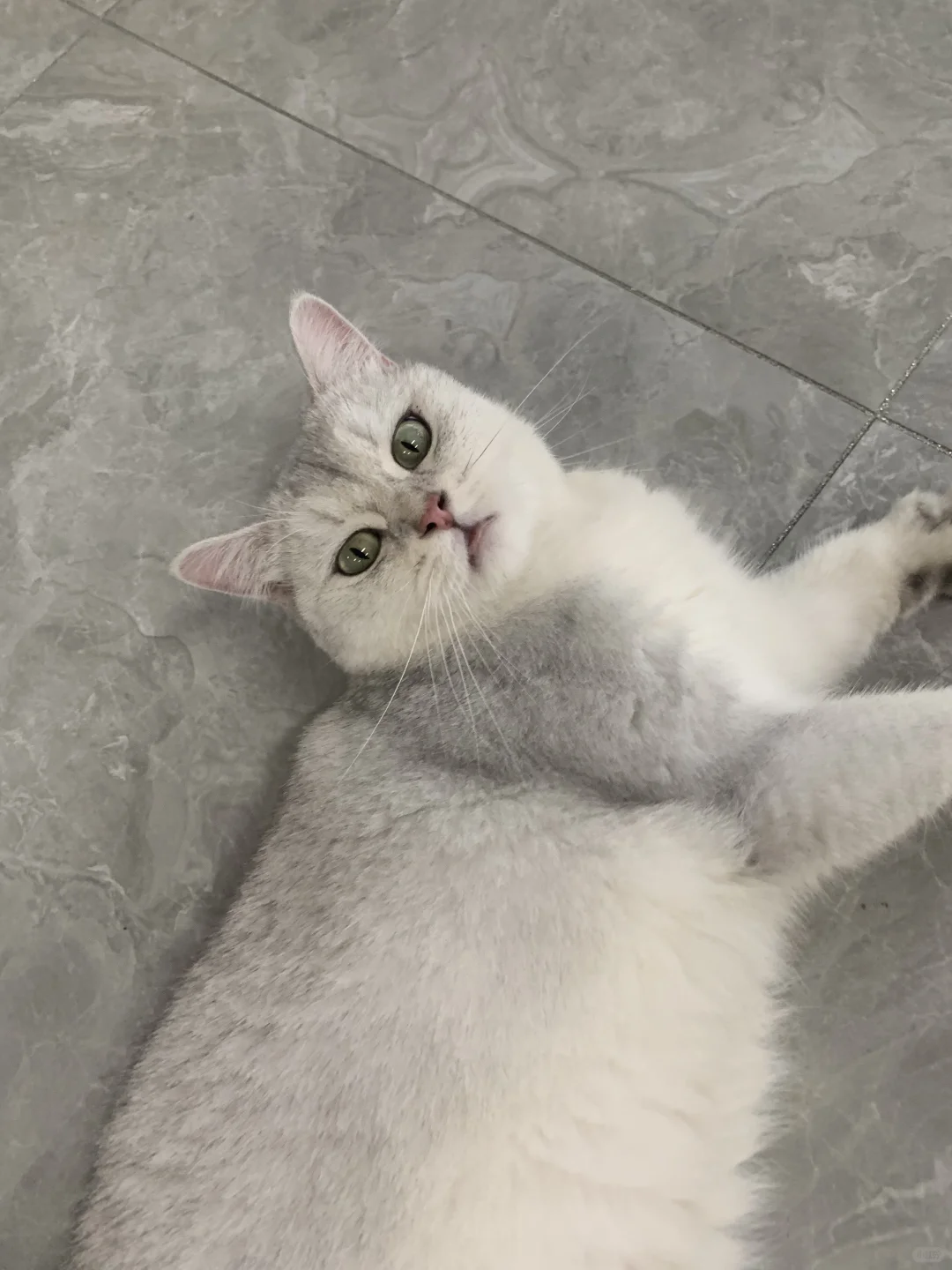 03年纺织新人｜上班第三天！！！