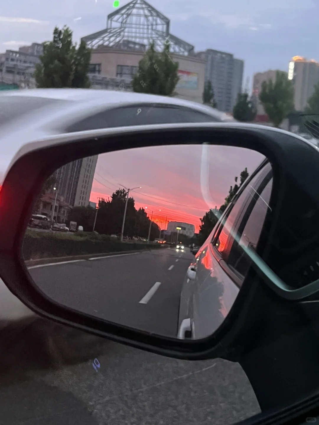 纯粹工具车-rav4