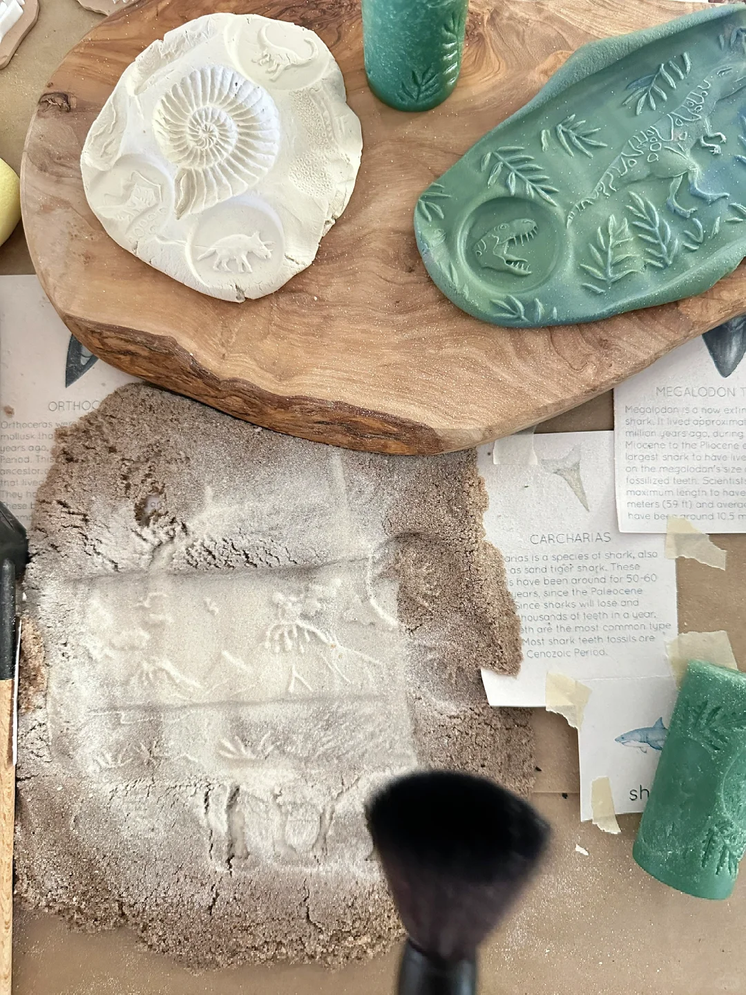 ??????| 在家挖化石之考古感官盒2