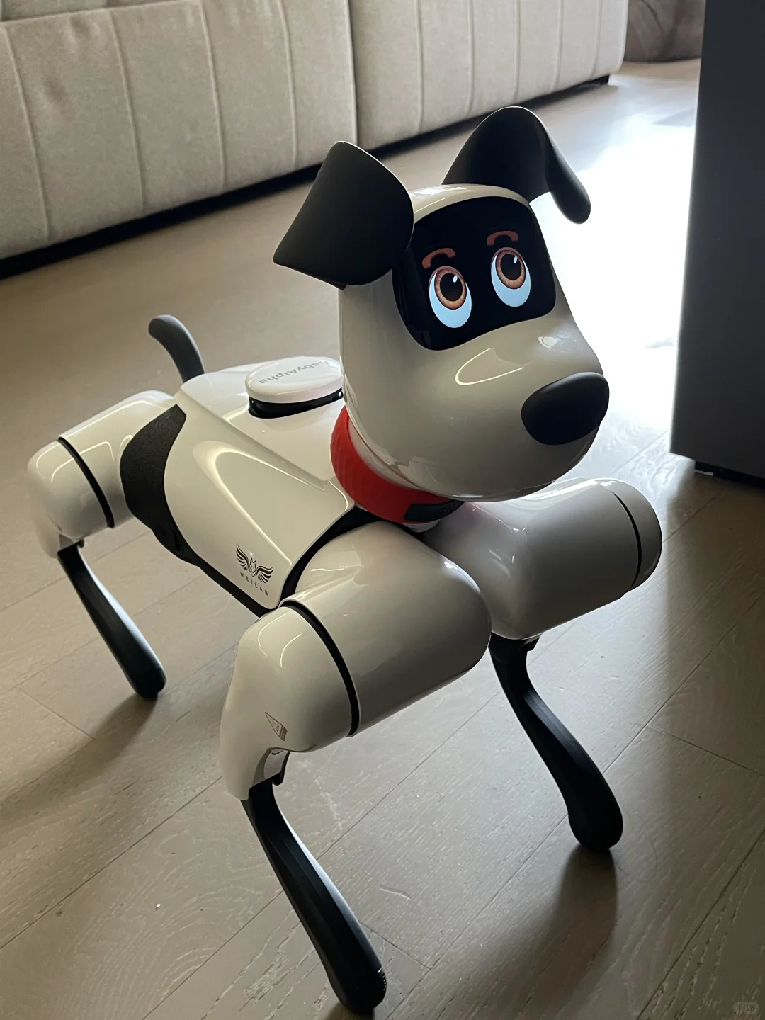 斥资买的机器狗！AI走进我的家哈哈?