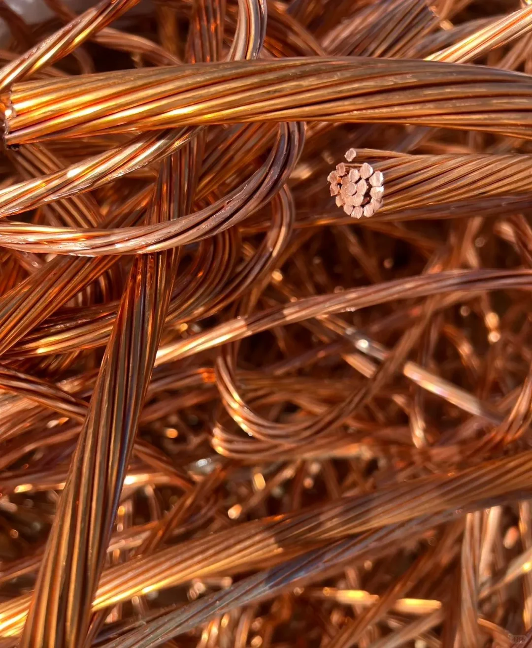 废品行业没人说的大实话！这样收废品稳赚！