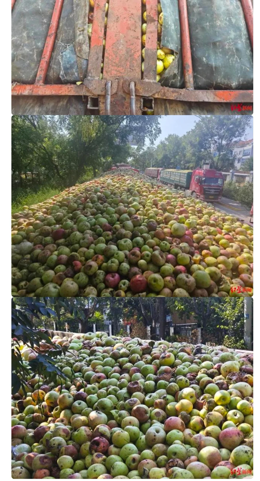 陕西咸阳一果汁厂全用烂苹果榨汁遭吐槽