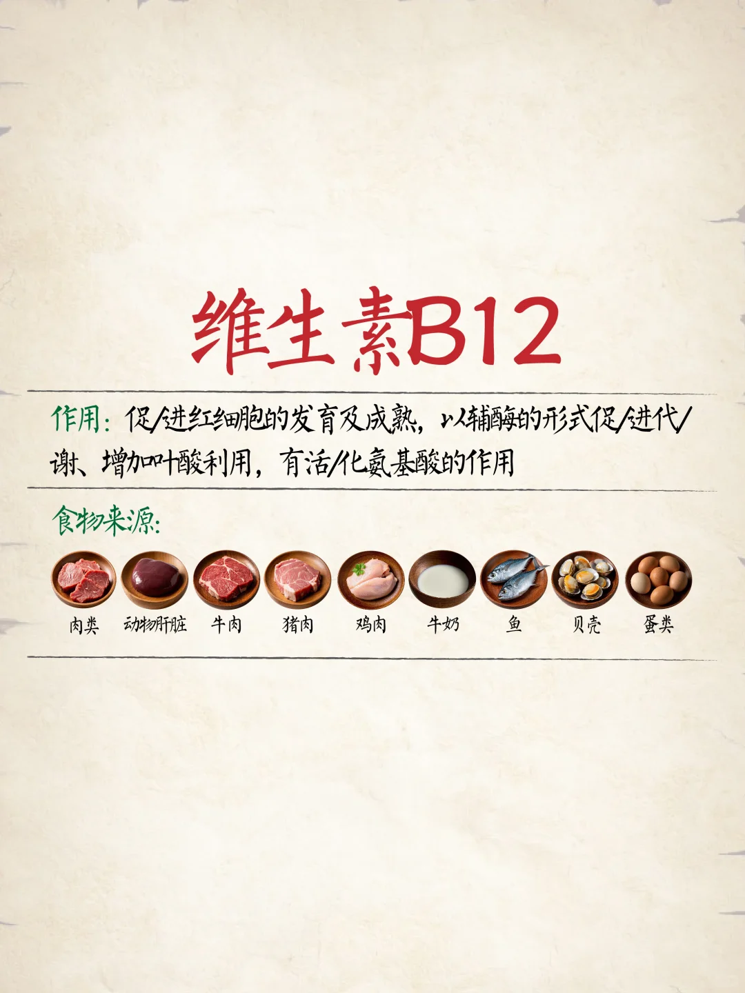 维生素食物补充食物表?建议收藏‼️