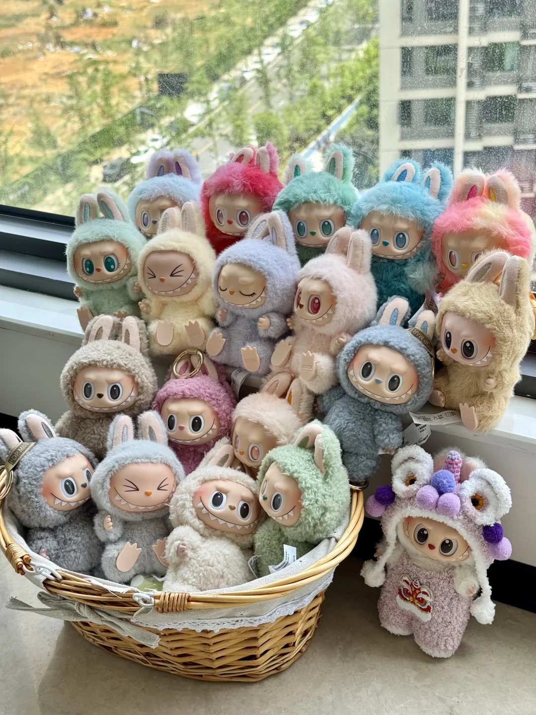 ❗收到整箱labubu的心情谁懂??