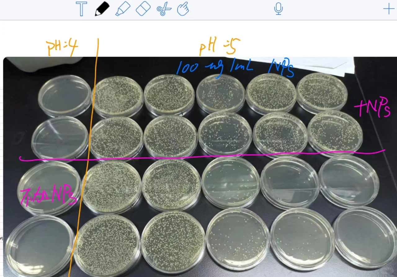 求助：抗菌实验