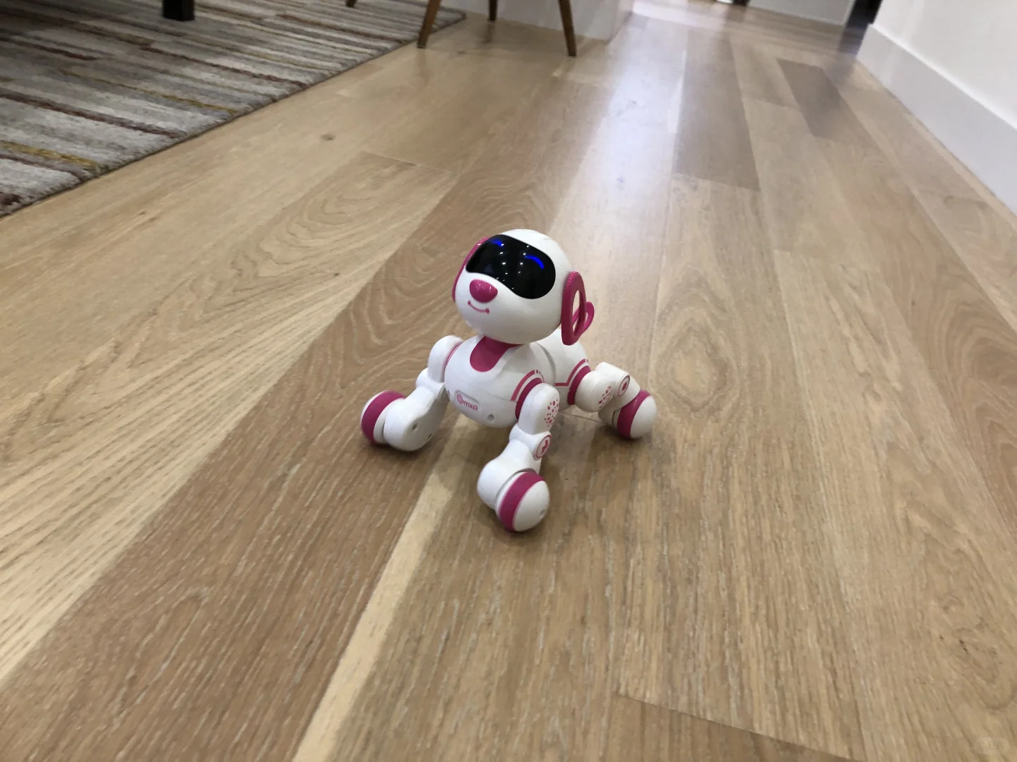 Target机器狗太好玩啦