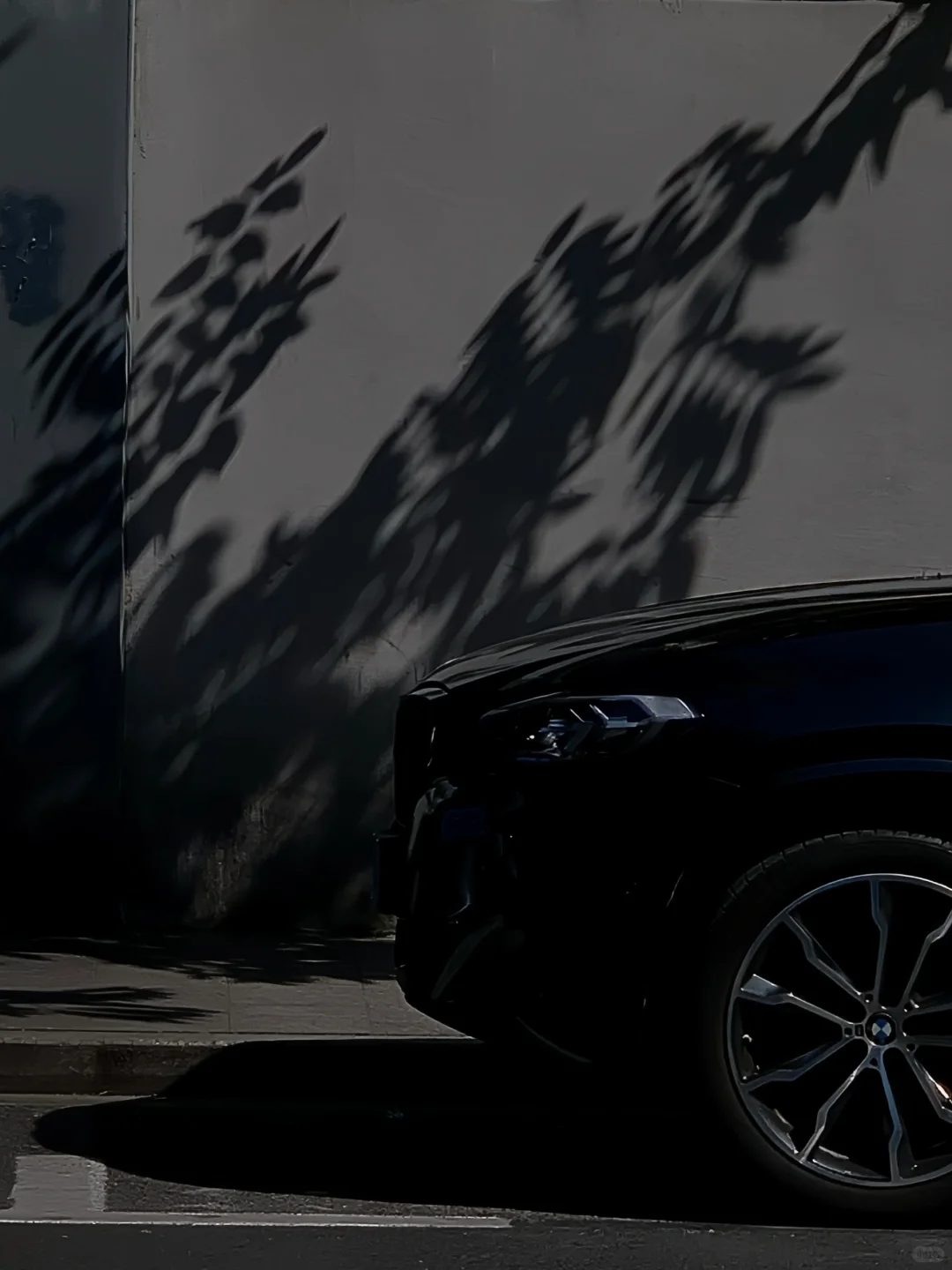 二次构图➕滤镜拯救了相册里一半的废片