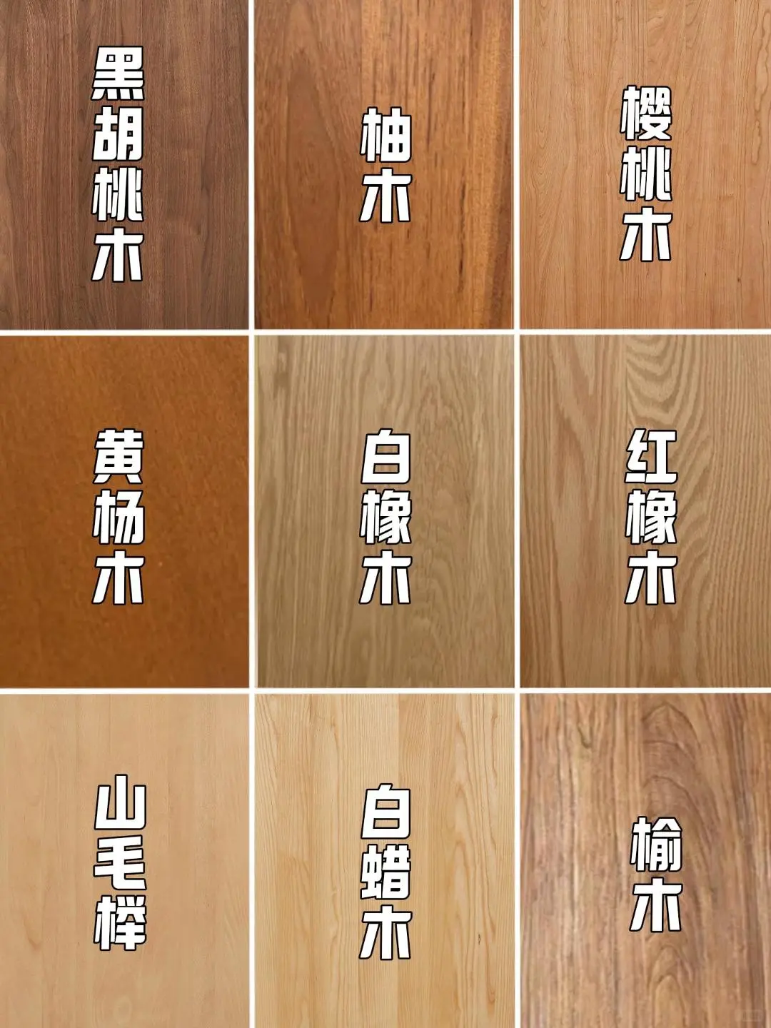 一篇搞懂9种木材,看完终于知道怎么选家具了