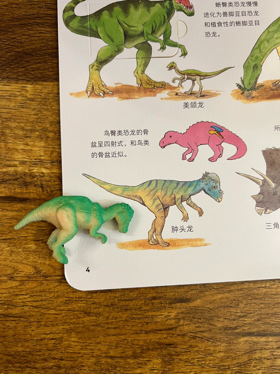 好绝的考古恐龙蛋?硬控小孩哥一小时+❗️