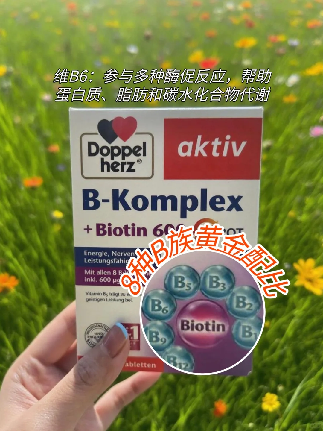 减肥总卡平台期？可能是缺维生素B了