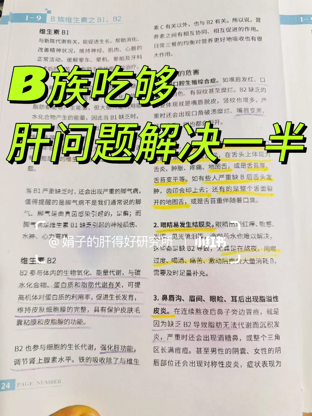 肝指标异常，和严重缺b族维生素有关