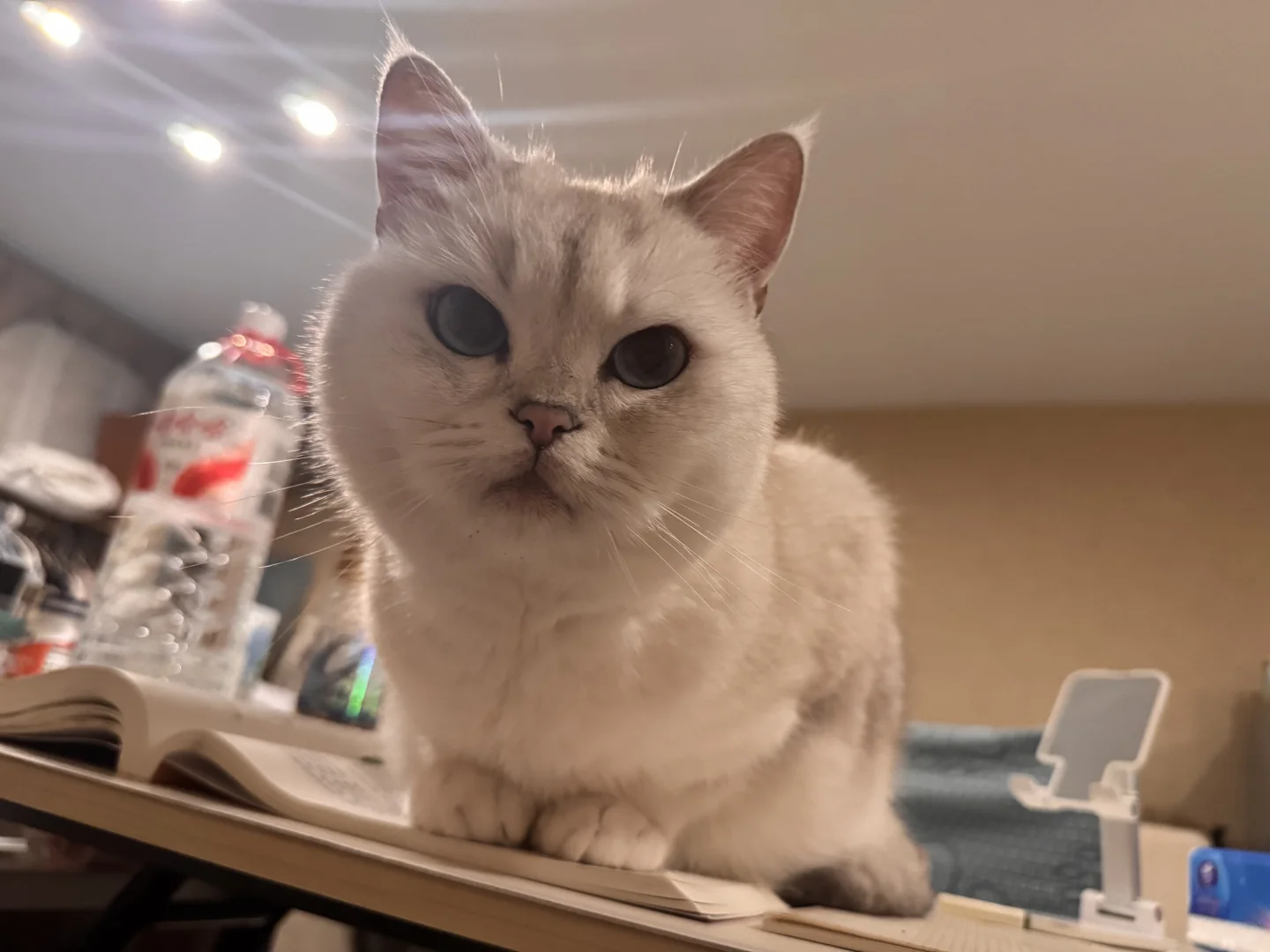 2025注册营养师考试对答案