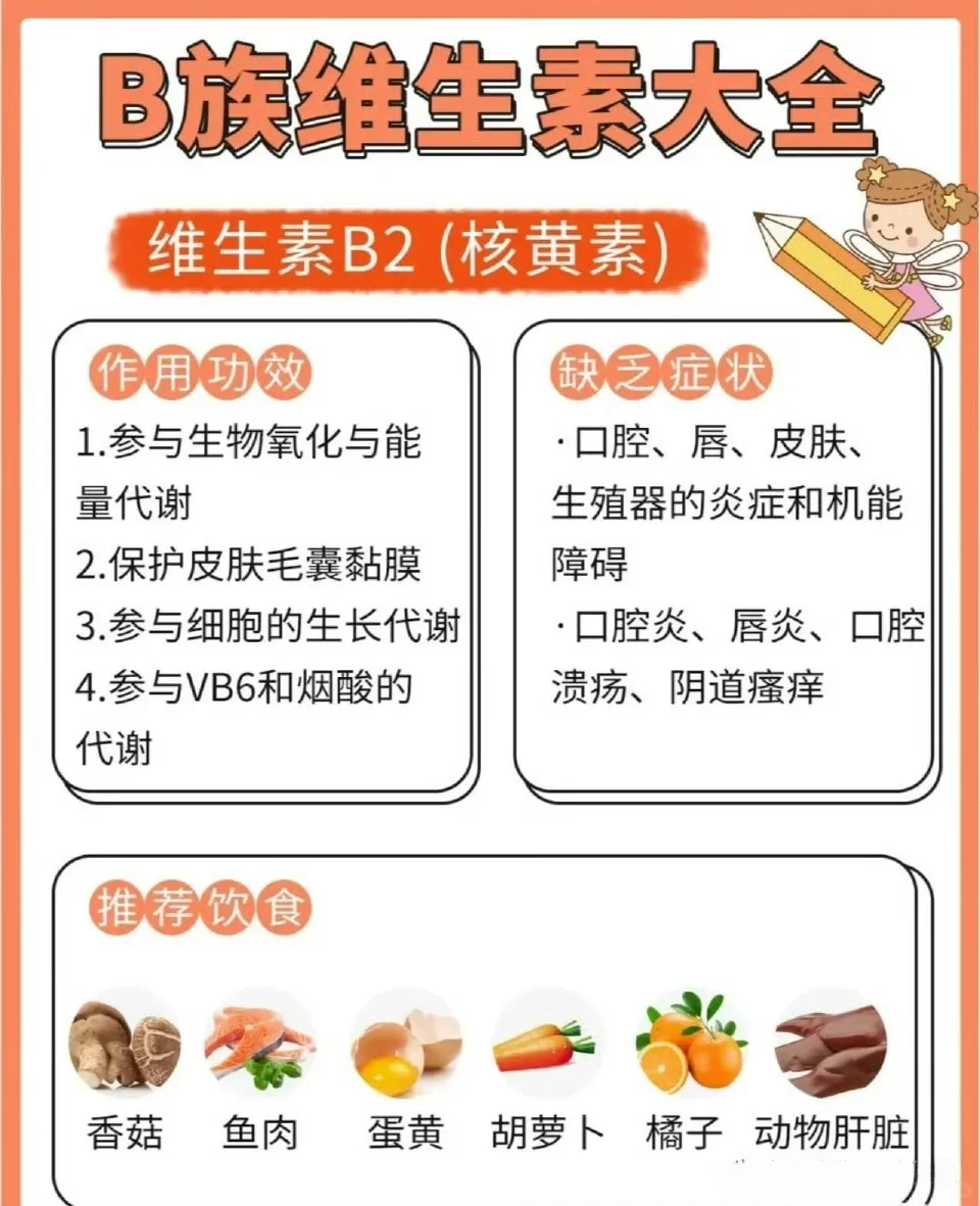 后悔没早懂！B族维生素是身体充电宝⁉️