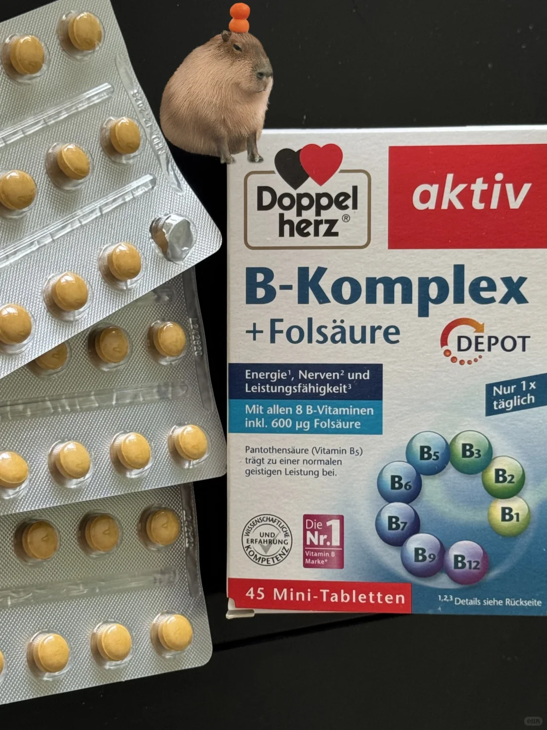 德国双心维B 打卡第一天