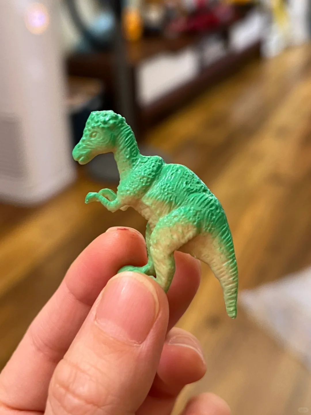 好绝的考古恐龙蛋?硬控小孩哥一小时+❗️