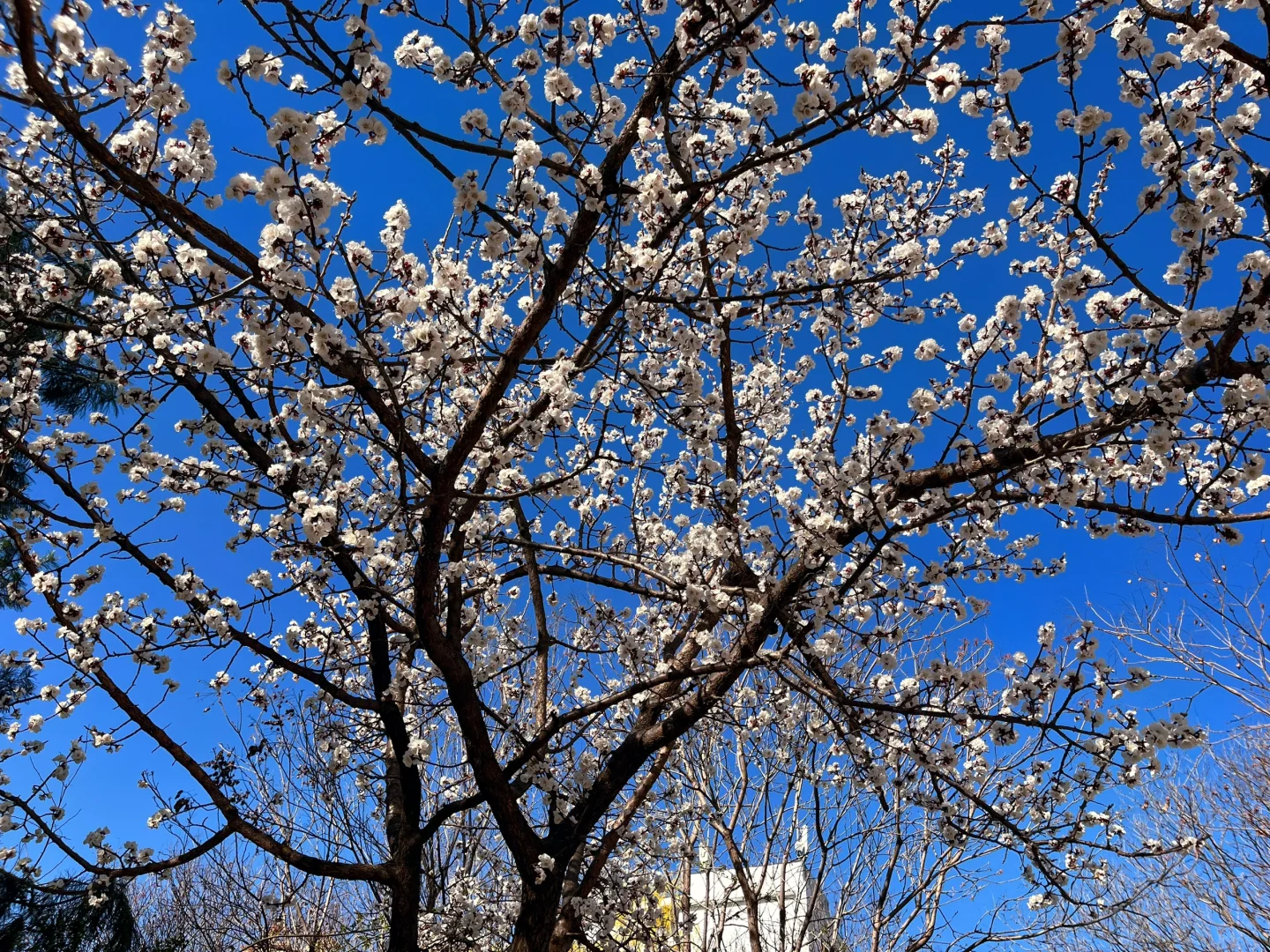 26电网考试新型电力系统复习DAY2