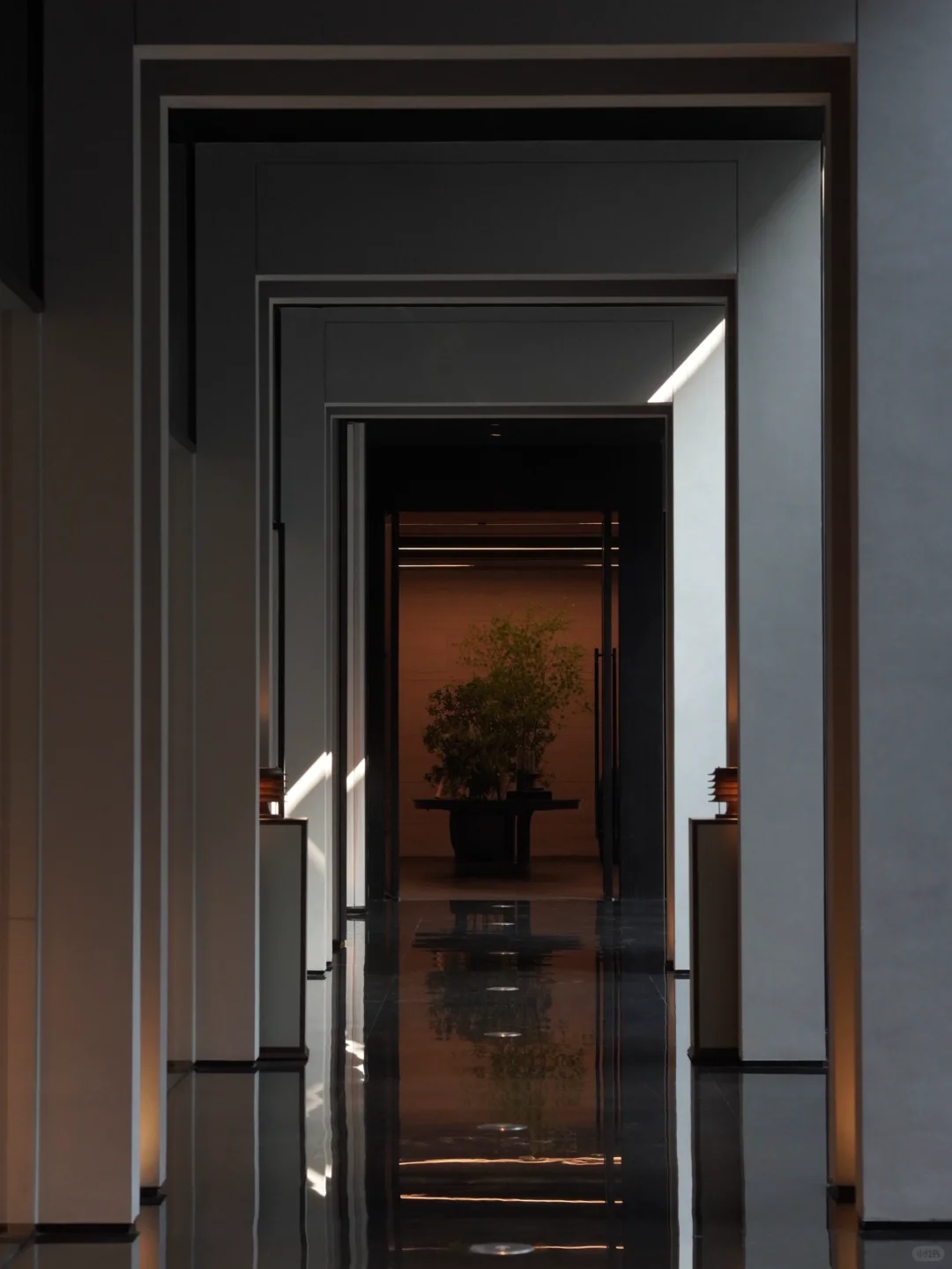 主城豪宅二选一!买错血亏百万