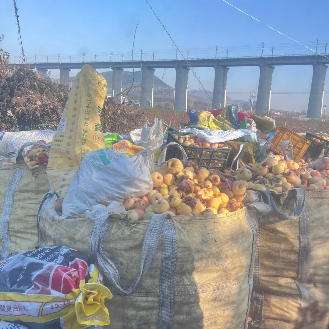 你以为是垃圾场，其实是果汁厂的收购区