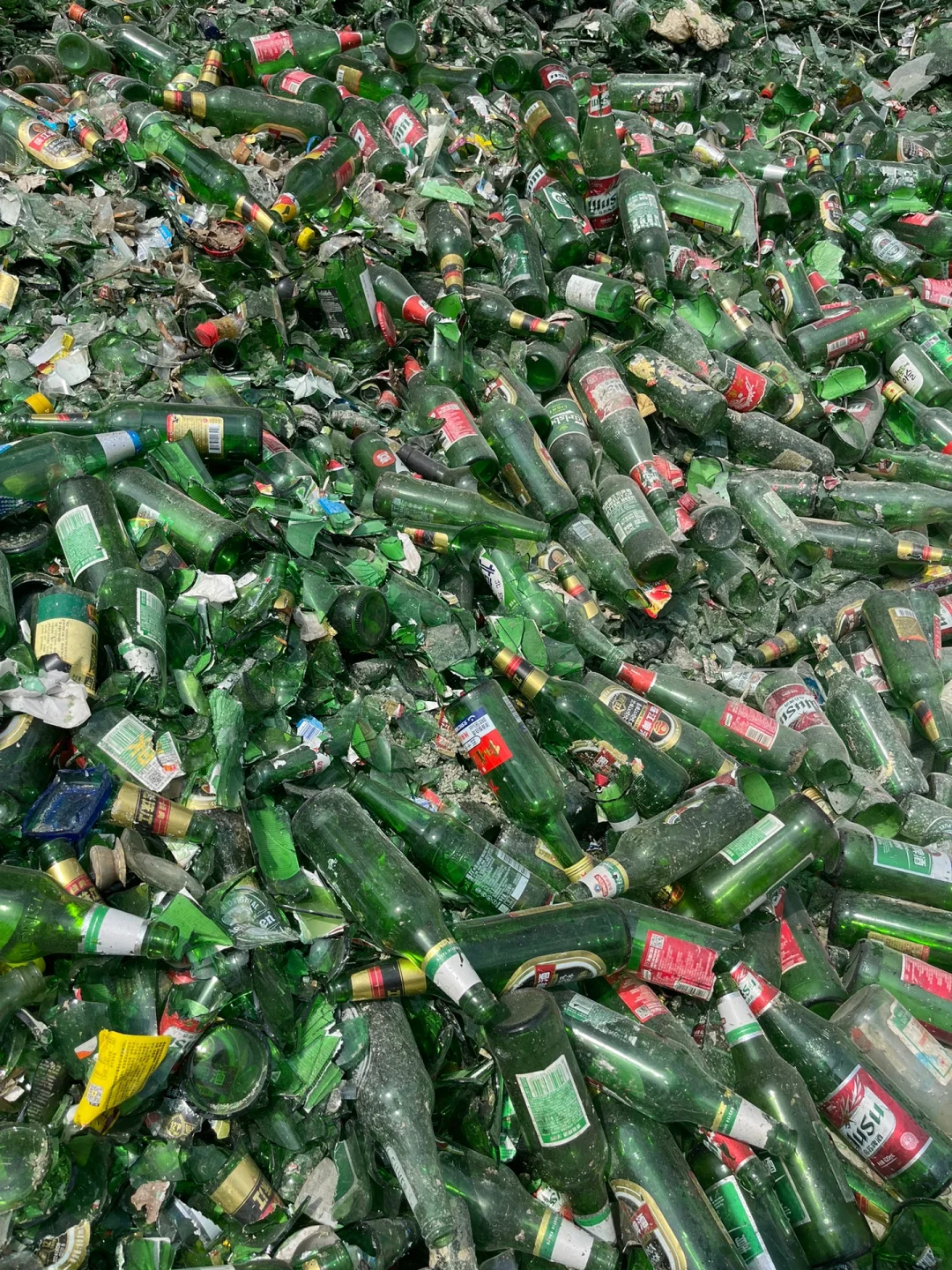 大厂辞职,跟着老爸回收废旧玻璃,劳累又充实