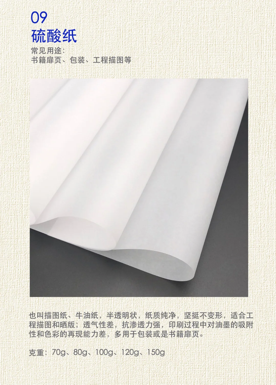 干货！24年纸张企业分享纸张知识设计师必备