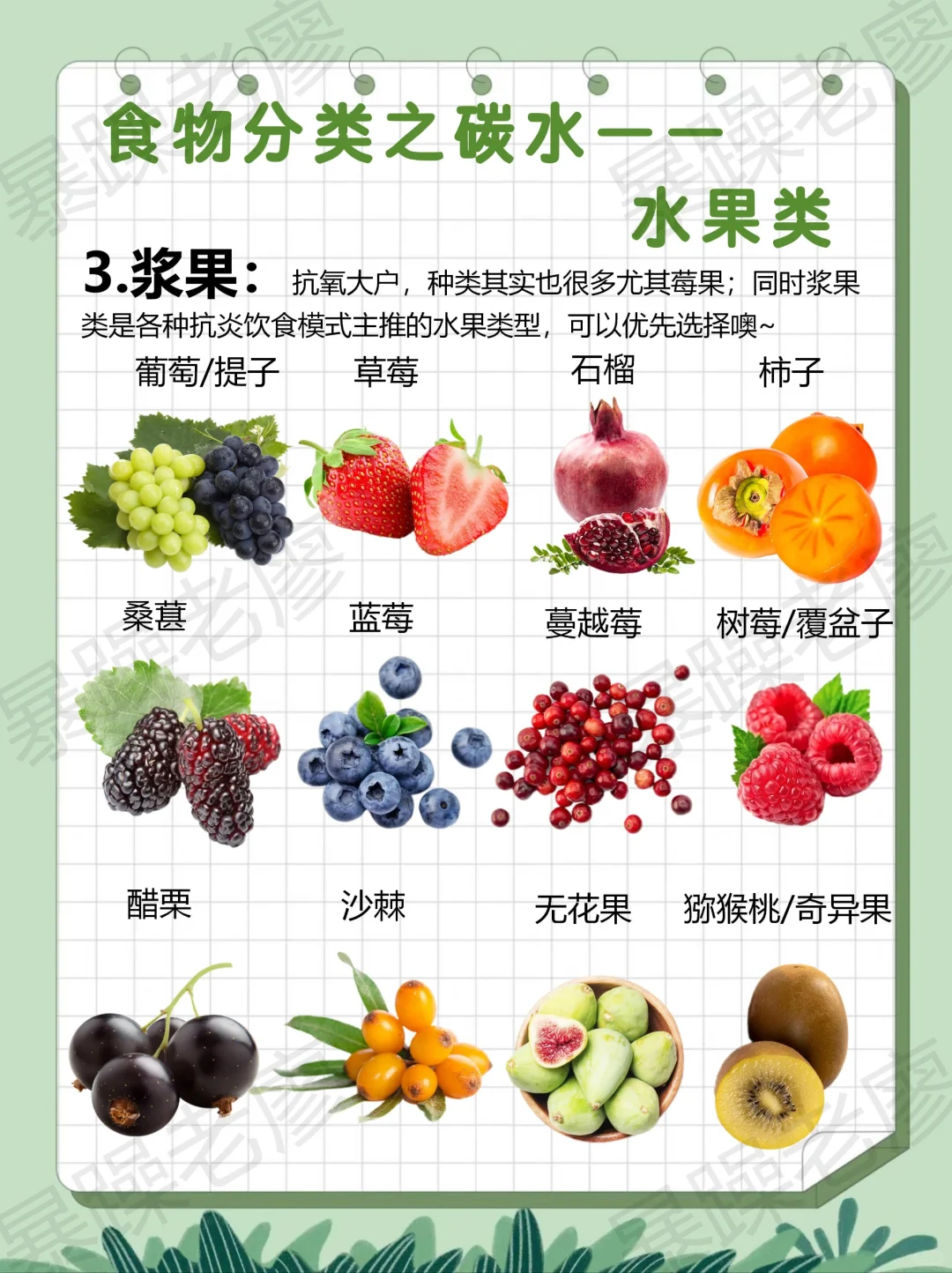 食物分类3-水果(附日常安排要点)