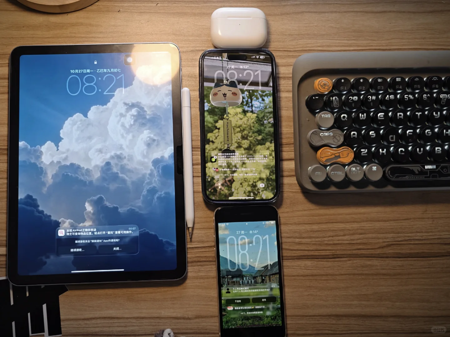 我的美丽小废物们