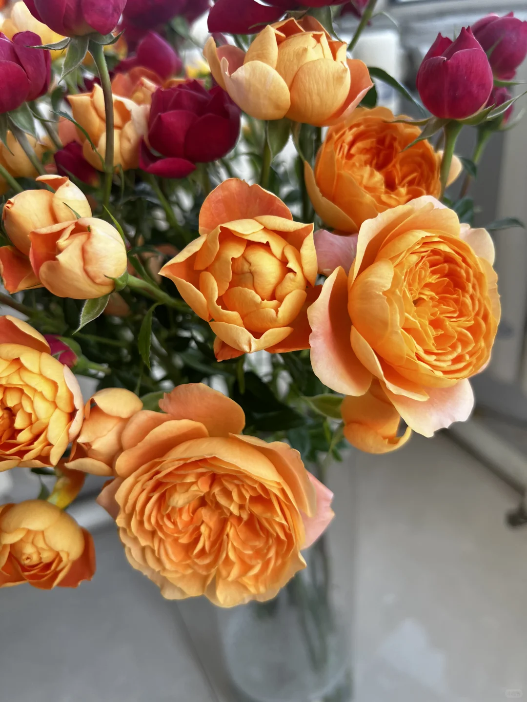 植艺的混色果汁