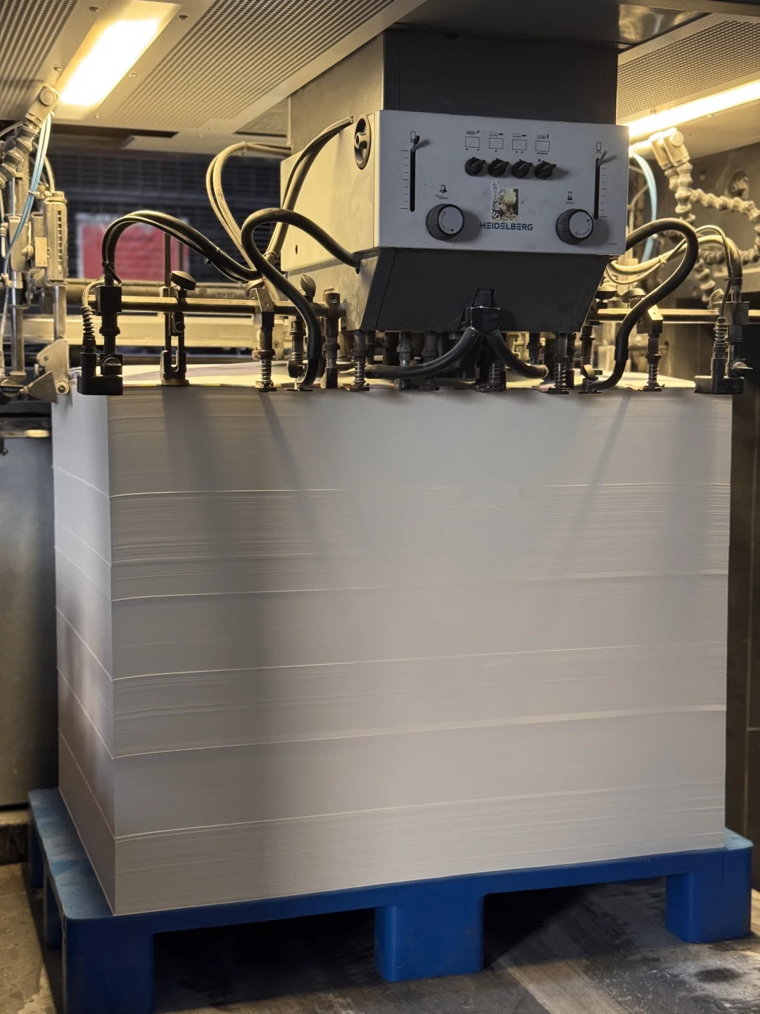 第一次进印刷车间