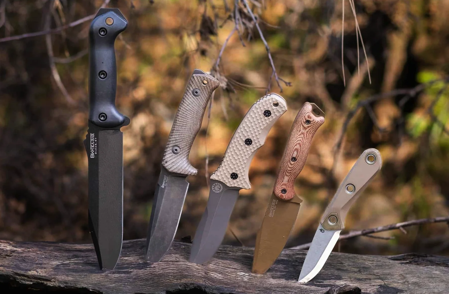 生存刀钢材选择指南，碳钢or不锈钢or工具钢